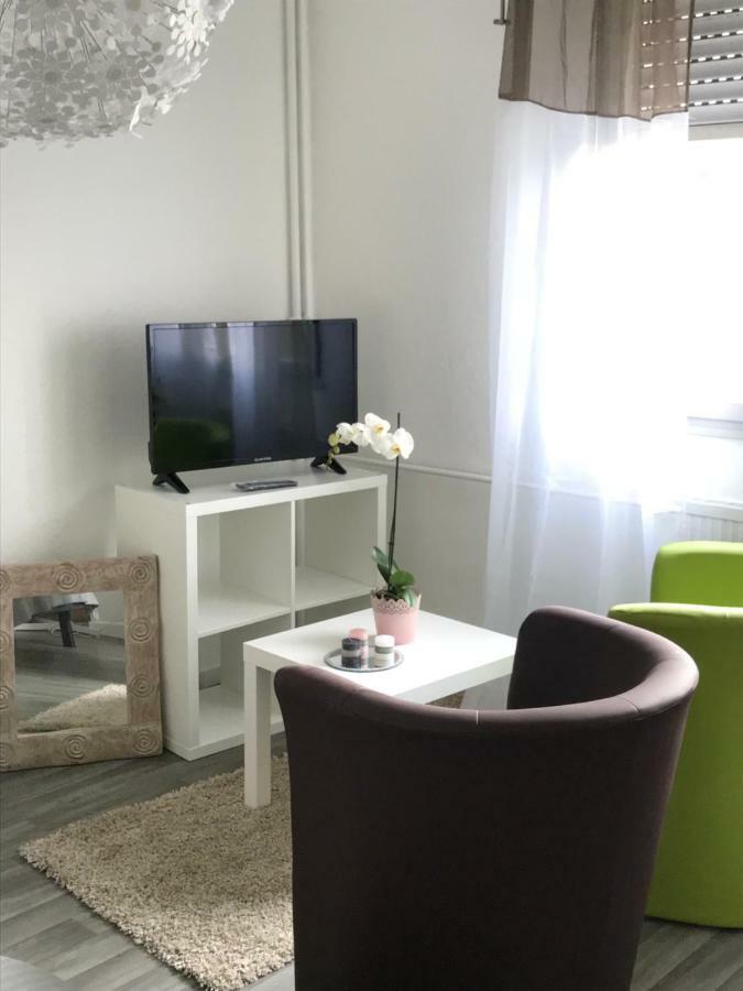 Studio 5 Near Basel Airport Saint-Louis (Haut-Rhin) Exterior foto